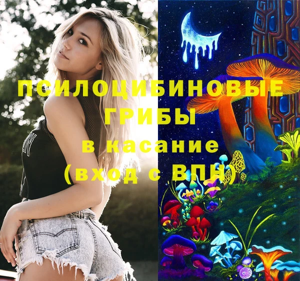 гидра Михайлов