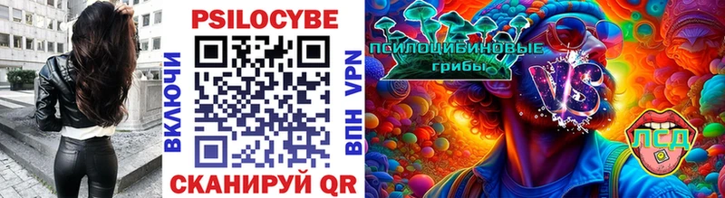 где купить наркотик Навашино Псилоцибиновые грибы прущие грибы